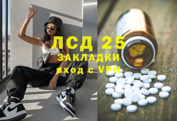 шишки Алексин